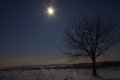Winter 18.12.2010_7